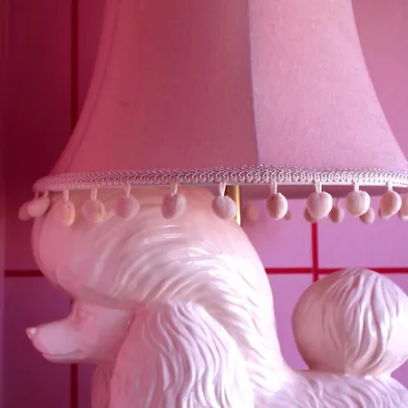 The Rozette Experience * Oostende