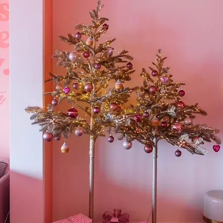 The Rozette Experience * Oostende