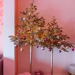 The Rozette Experience * Ostende