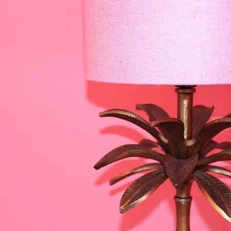 The Rozette Experience *