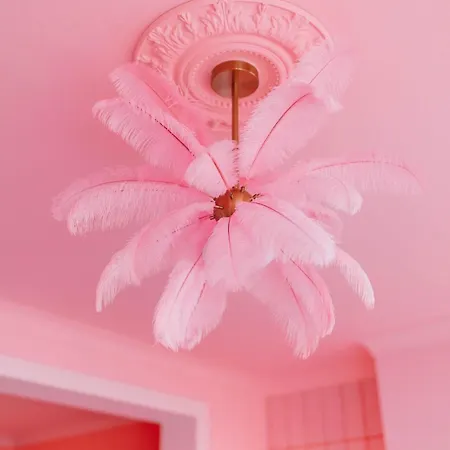 The Rozette Experience Οστένδη